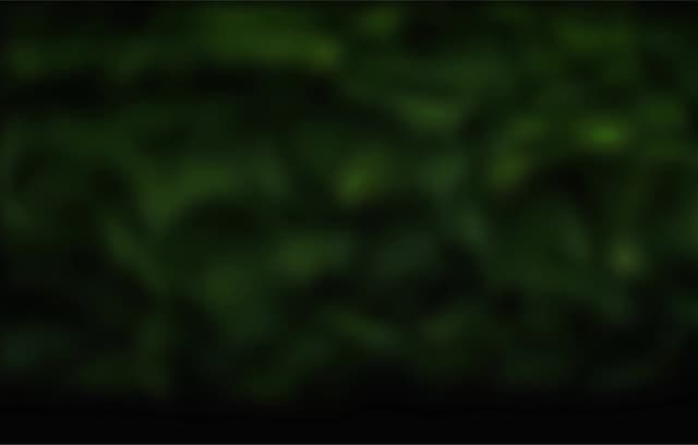 surevine bg